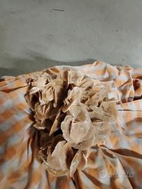 Rosa del deserto 