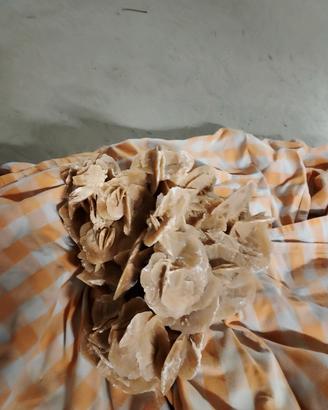 Rosa del deserto 