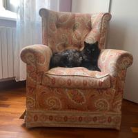 Graziosa poltroncina in tessuto fantasia Cachemire