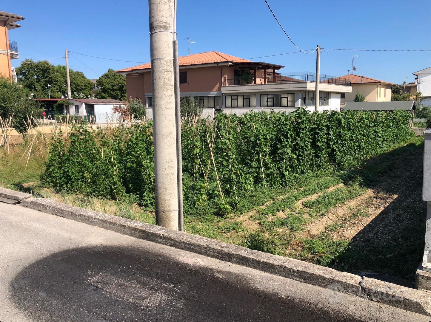 Terreno edificabile 1.000 mq Piane di Montegiorgio - Vista 3