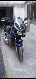 Yamaha TDM 900 - 2003