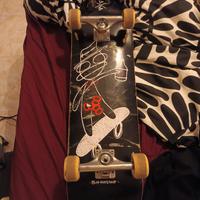 skateboard professionale 