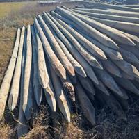 Pali da recinzione in castagno.