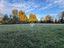 Immagine 12