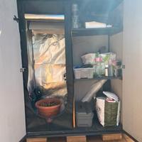 Growbox integrato in armadio da esterno PRONTO