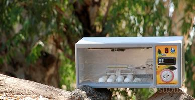 Incubatrice INCA 100 Professionale ExpoGroup IT