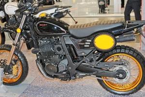 SWM silvervase 650 - 2025