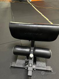 Macchinario Sissy squat Lacertosus