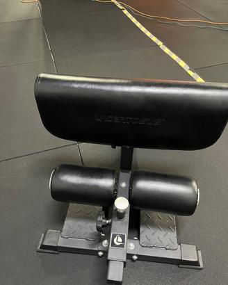 Macchinario Sissy squat Lacertosus