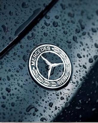 Stemma Mercedes cofano 