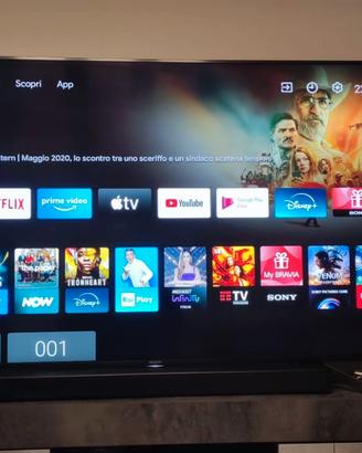 TV Sony Bravia 65"