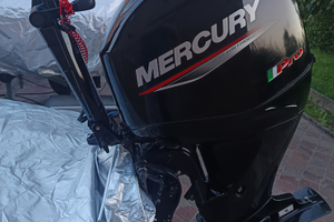 Mercury Pro 40 60
