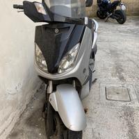 Xmax 250