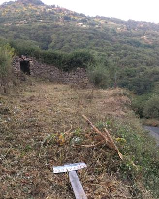Terreno a Gallodoro