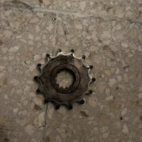 Pignone 14 denti am6