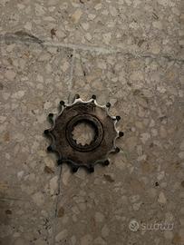 Pignone 14 denti am6