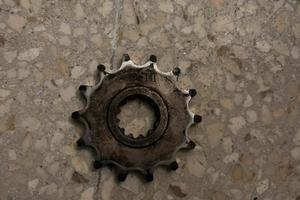 Pignone 14 denti am6