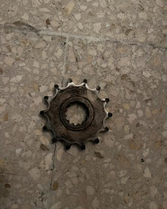 Pignone 14 denti am6