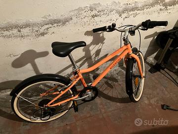 bicicletta