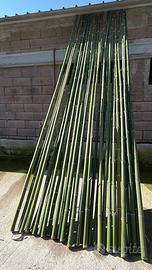 Canne di bambu (varie dimensioni)
