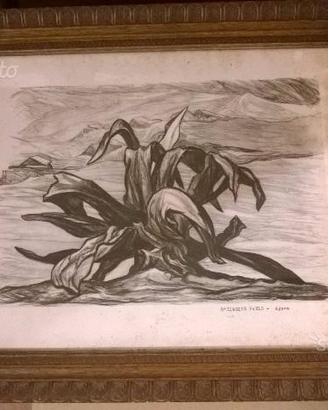Pablo O'Higgins 1950 AGAWA Quadro Litografia Vinta