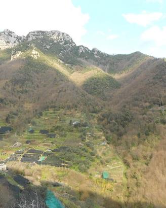 RGE 402/2013 Trib Salerno - LOTTO 6
