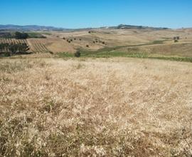 Terreno agricolo con panorama mozzafiato