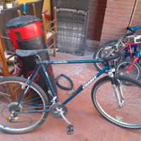 bici giant