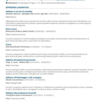 Autista di patente B Aiuto cuoco