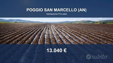 Immobile in asta di 52452 m² a Poggio San Marcello