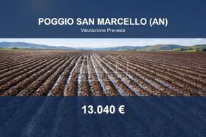 Immobile in asta di 52452 m² a Poggio San Marcello