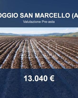 Immobile in asta di 52452 m² a Poggio San Marcello