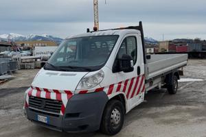 Fiat ducato cassonato