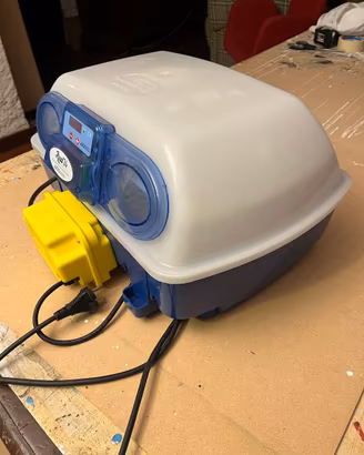 Incubatrice per pulcini