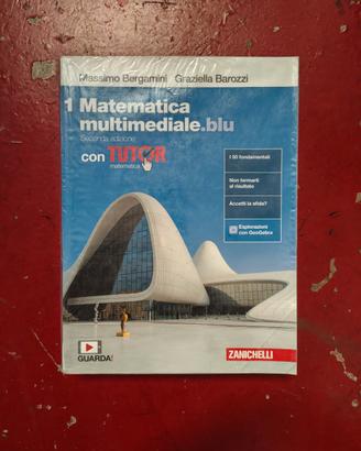 libro matematica blu 1 