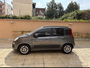 Meravigliosa Panda