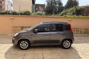 Meravigliosa Panda