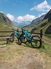 ebike