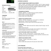 Addetta pulizie uffici, hotel, B&b e privati