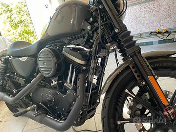 Harley 883