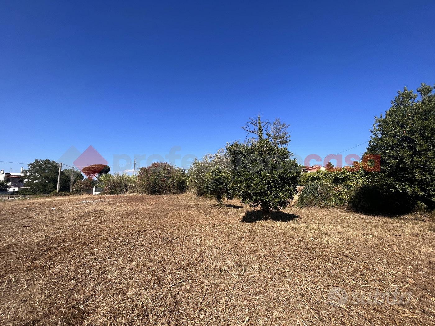 Terreno Agricolo Terracina [Cod. rif 3164267VRG] - Vista 5