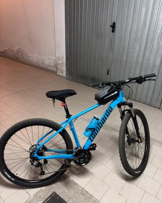 Mountain bike modello sestiere da 29