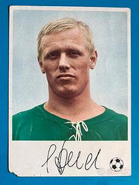SIEGFRIED HOLD 24 BORUSSIA Dortmund Knorr card