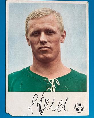 SIEGFRIED HOLD 24 BORUSSIA Dortmund Knorr card