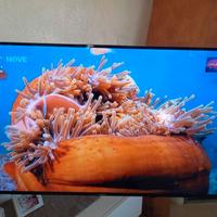 Tv samsung 48 pollici