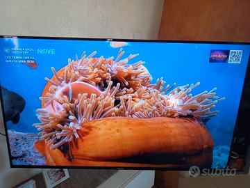 Tv samsung 48 pollici