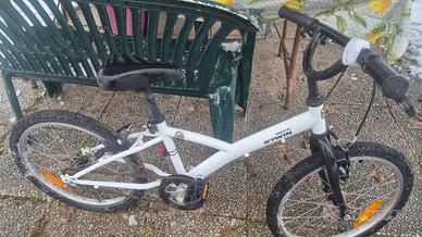 Bicicletta junior 