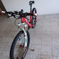 bici Mtb