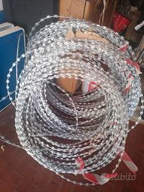 filo spinato 24''