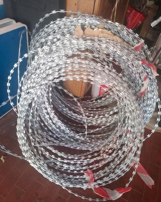 filo spinato 24''